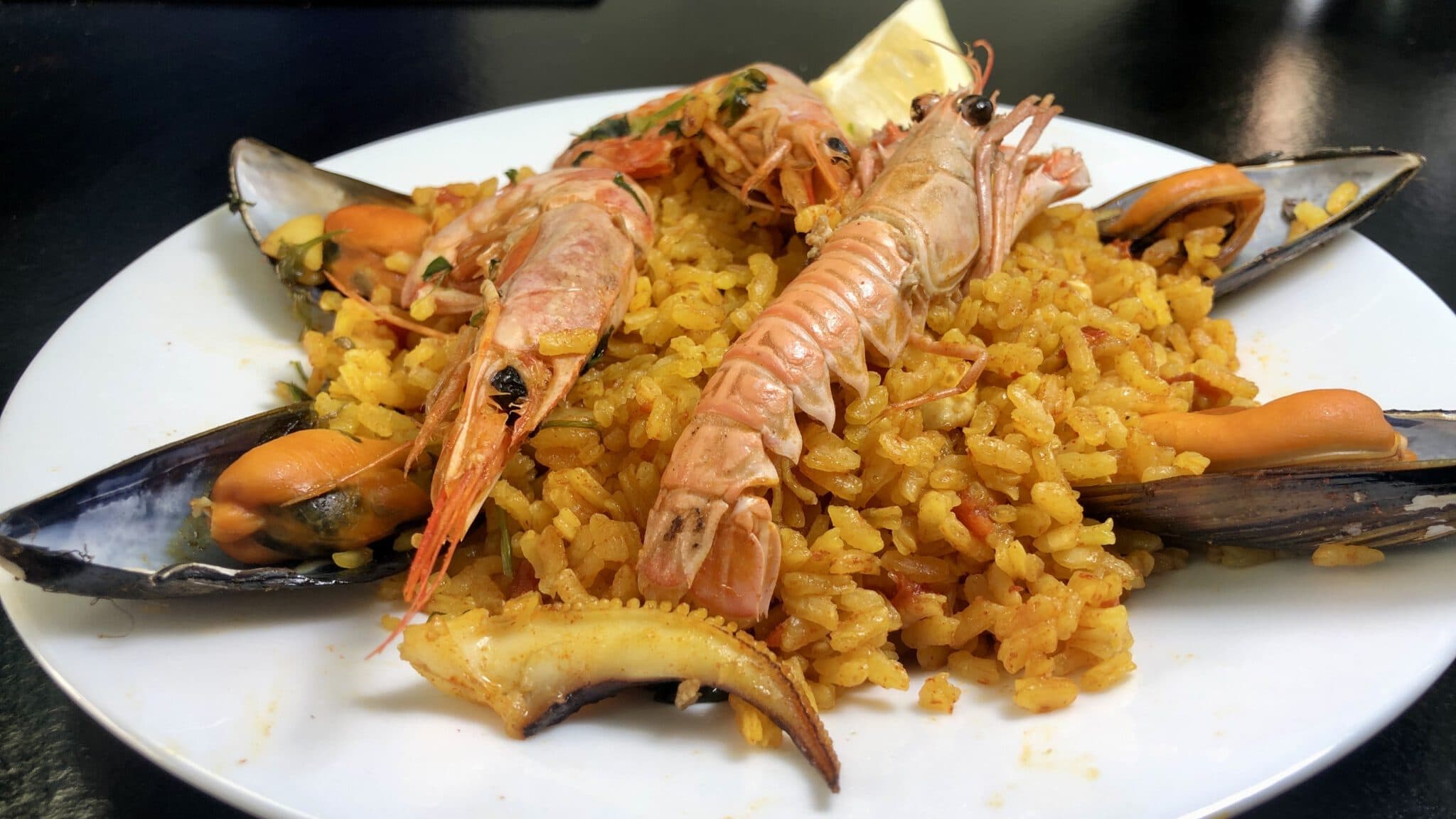 Paella de Marisco Saladmaster Elipsu